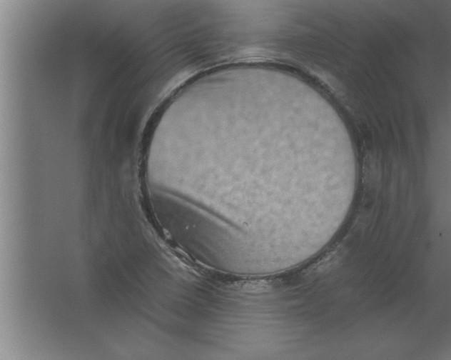 X0000067461410200604281816