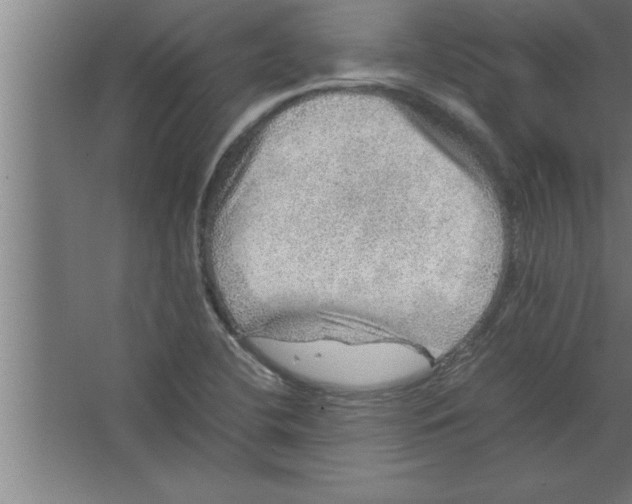 X0000067461412200604281816