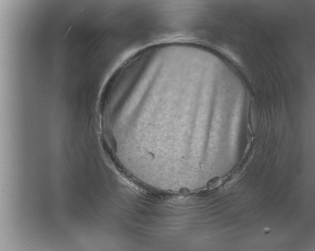 X0000067461414200604281816