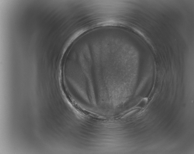 X0000067461418200604281816