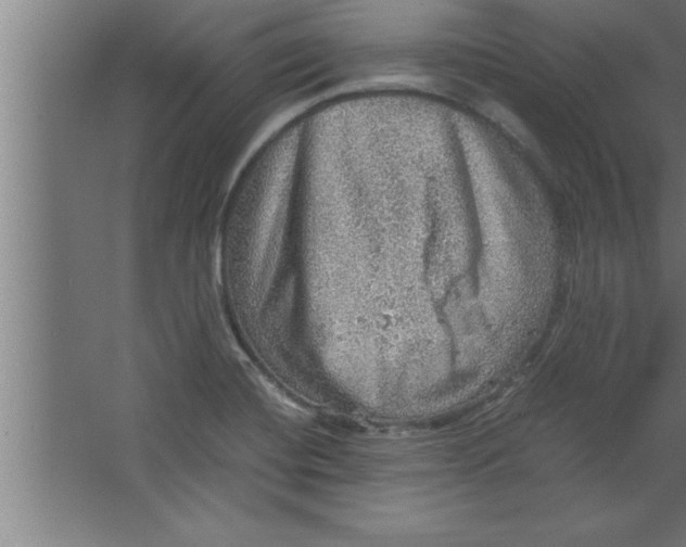 X0000067461420200604281816