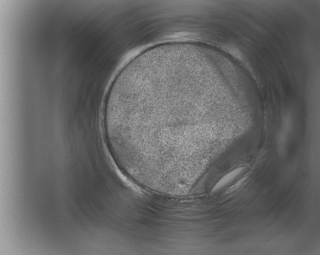 X0000067461421200604281816