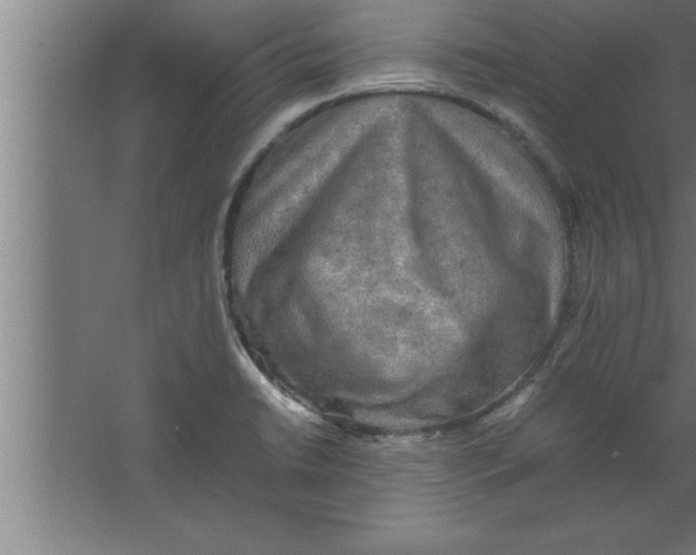 X0000067461422200604281816