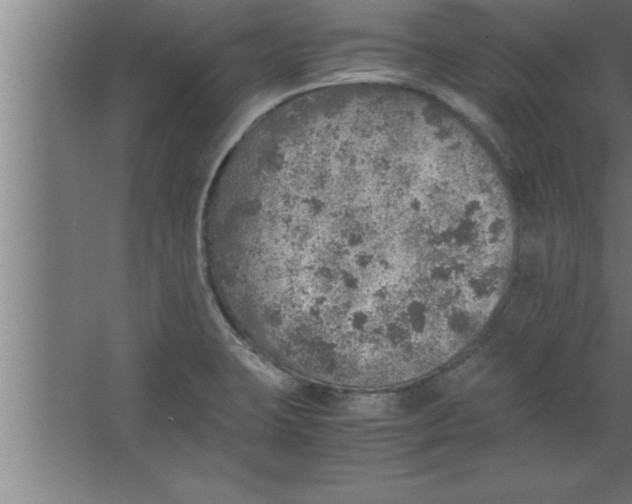 X0000067461423200604281816