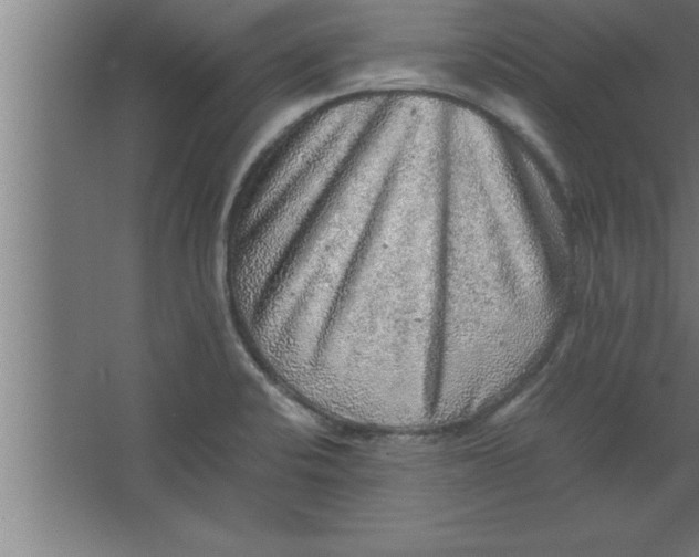 X0000067461424200604281816