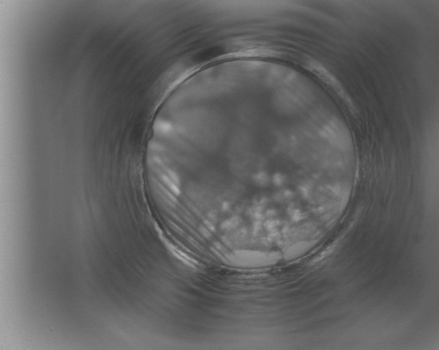 X0000067461425200604281816