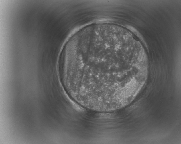 X0000067461429200604281816