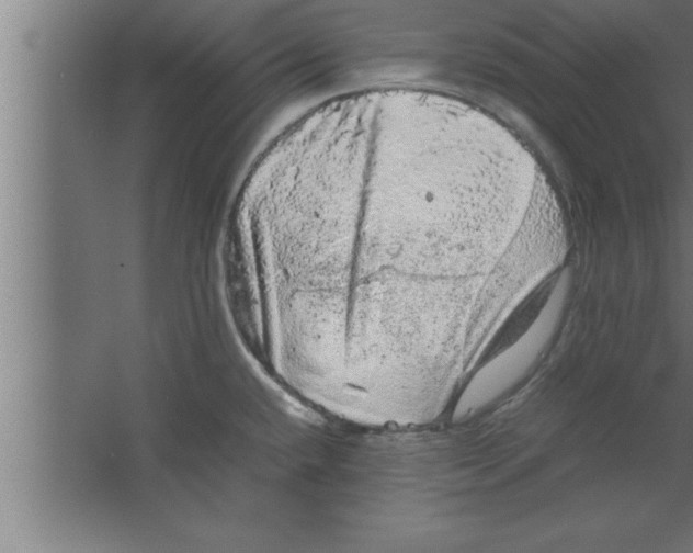 X0000067461432200604281816