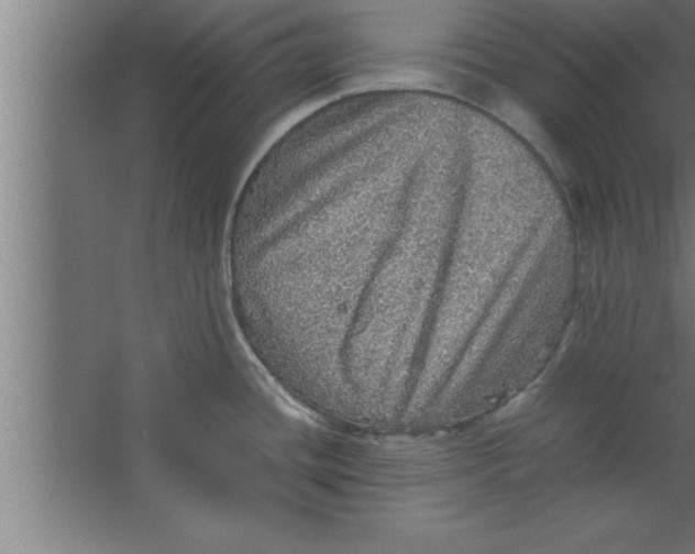 X0000067461436200604281816