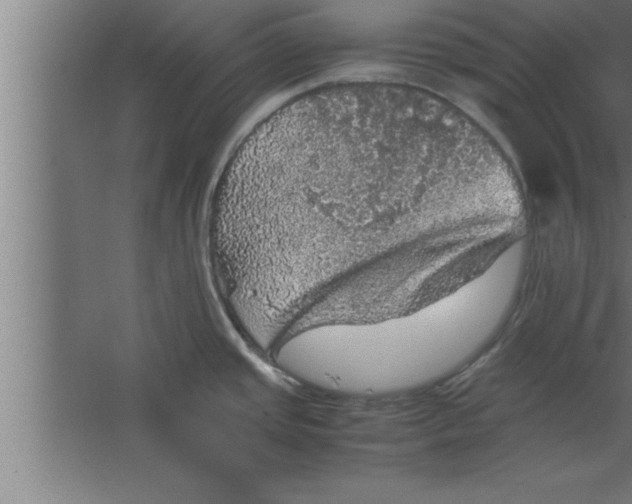 X0000067461437200604281817