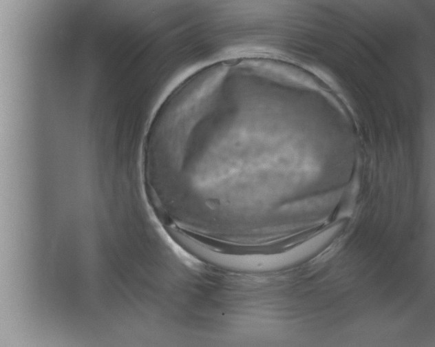 X0000067461438200604281817