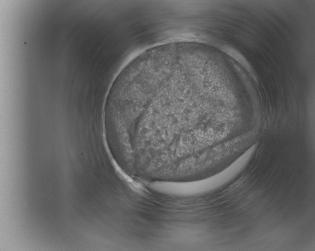 X0000067461439200604281817