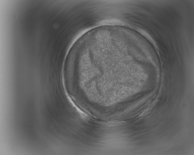 X0000067461440200604281817