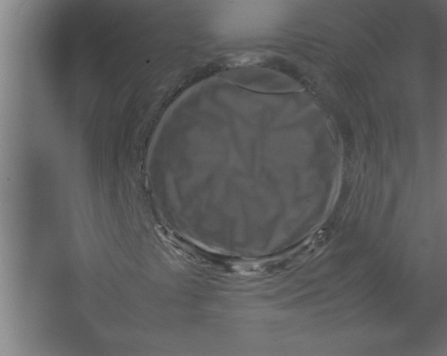 X0000067461441200604281816