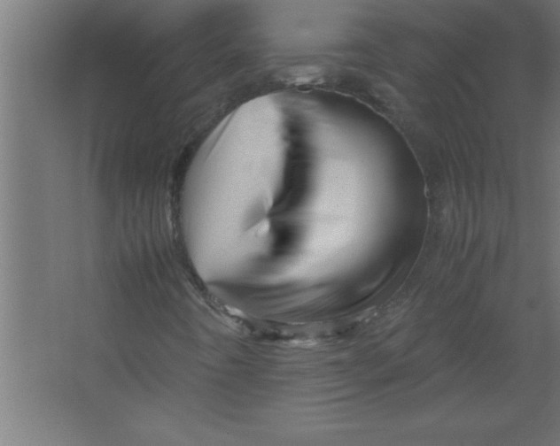 X0000067461442200604281816