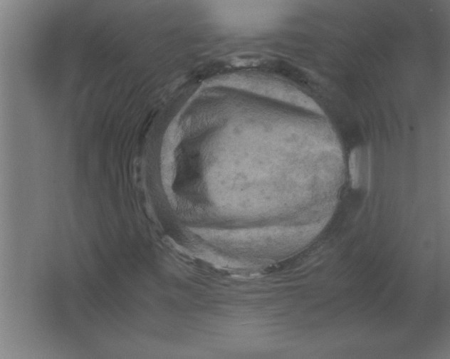 X0000067461443200604281816