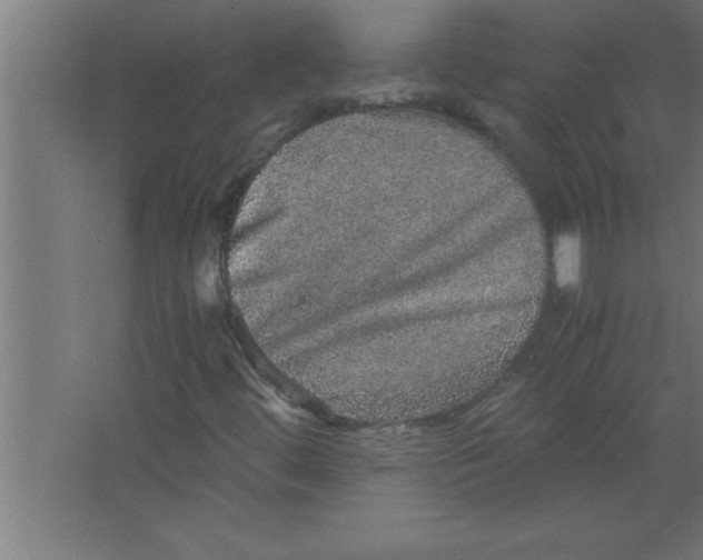 X0000067461444200604281816