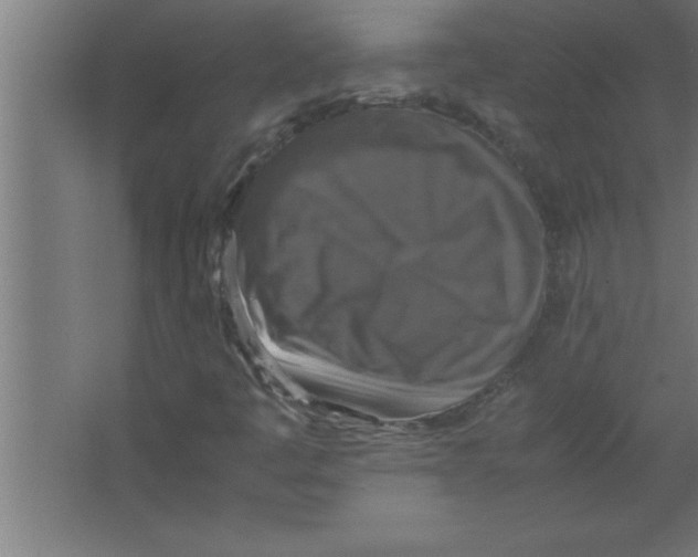 X0000067461445200604281816