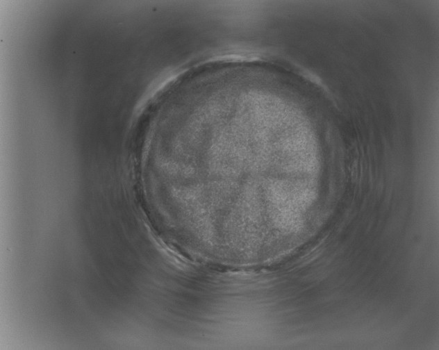 X0000067461448200604281816