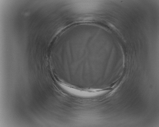 X0000067461449200604281816