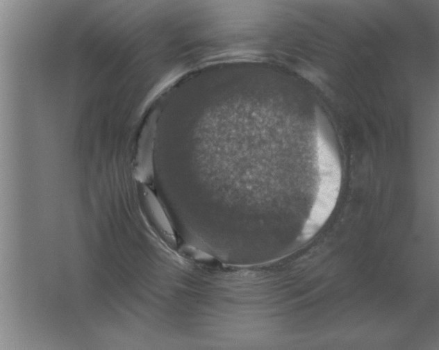 X0000067461450200604281816