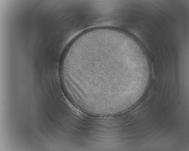 X0000067461452200604281816