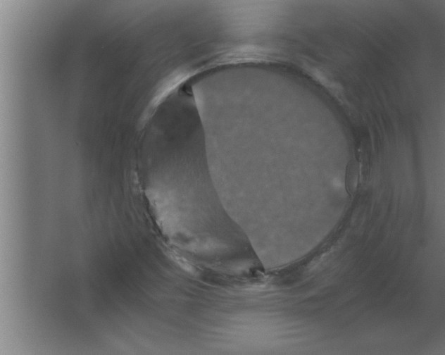 X0000067461453200604281816