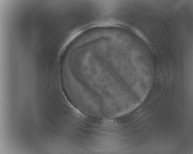 X0000067461456200604281815