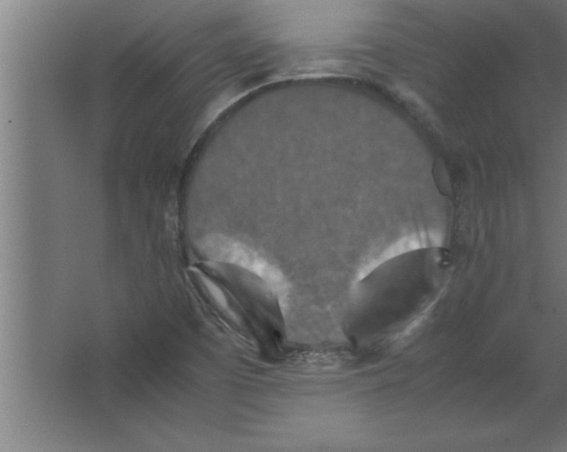 X0000067461457200604281815