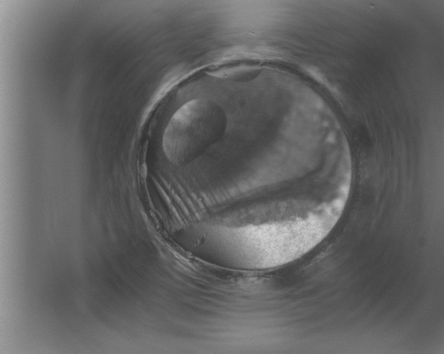 X0000067461459200604281815