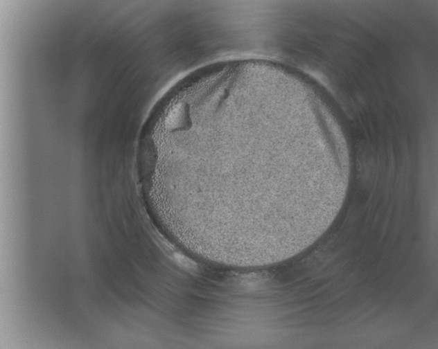 X0000067461460200604281815