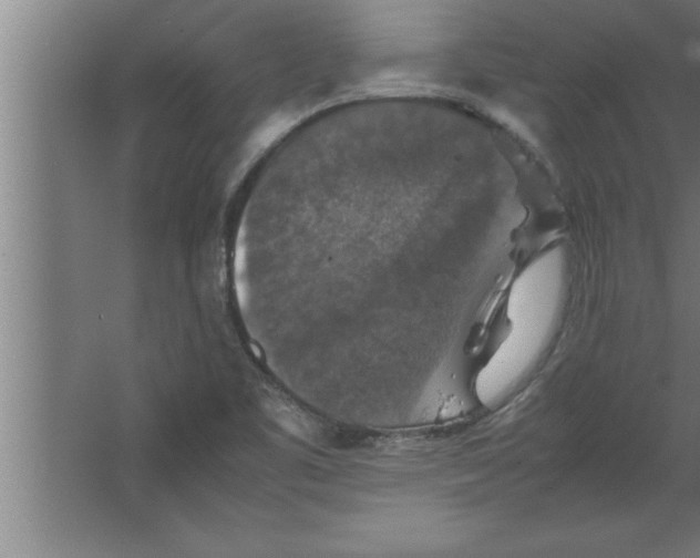 X0000067461461200604281815