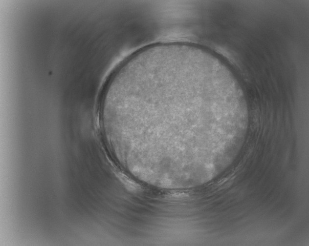 X0000067461462200604281815