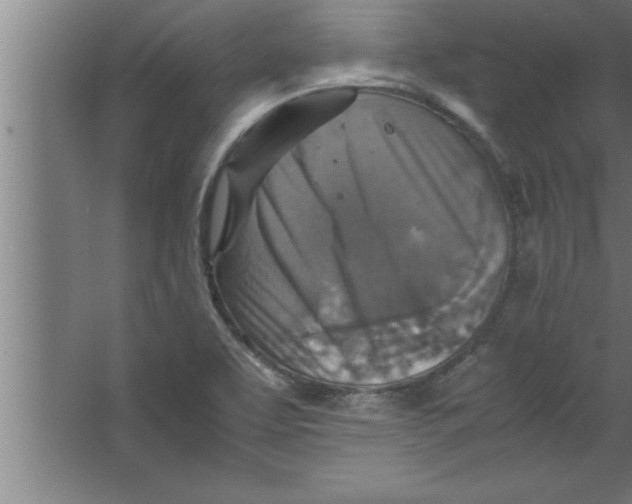 X0000067461463200604281815