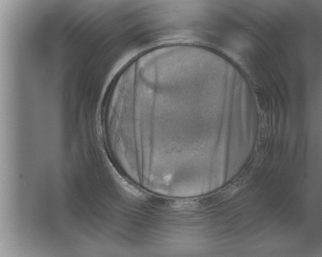 X0000067461466200604281815