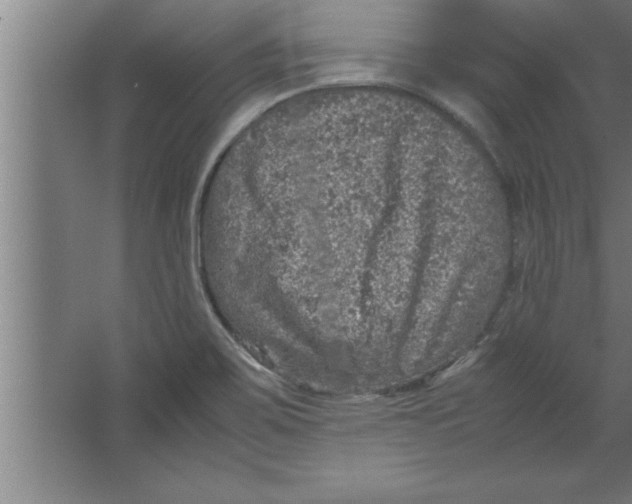 X0000067461467200604281815