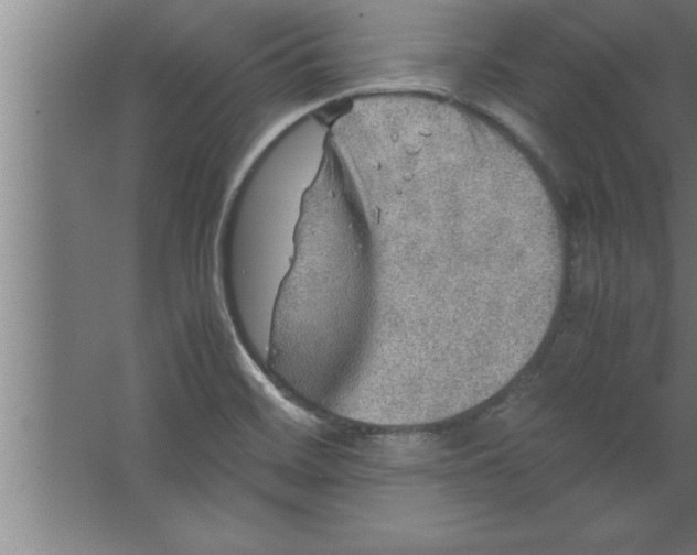 X0000067461468200604281815