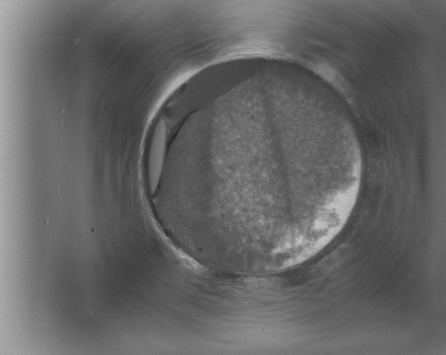 X0000067461469200604281815