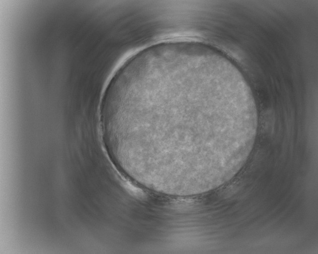 X0000067461470200604281815