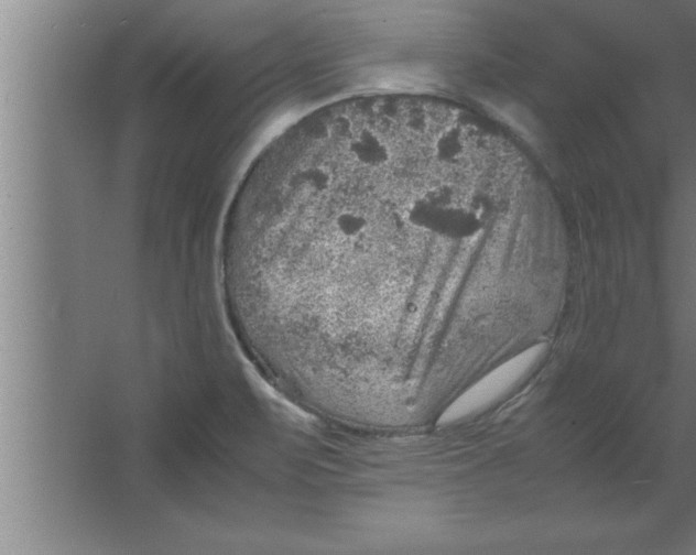 X0000067461471200604281815