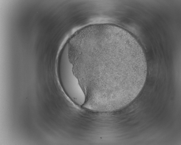 X0000067461472200604281815