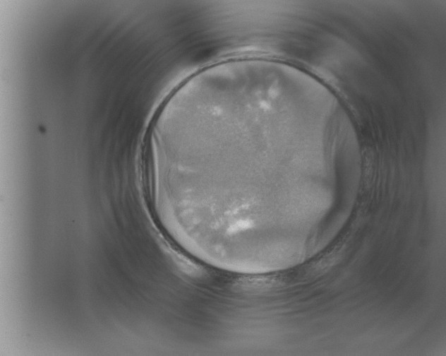 X0000067461474200604281815