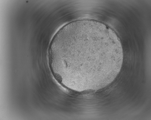 X0000067461476200604281815