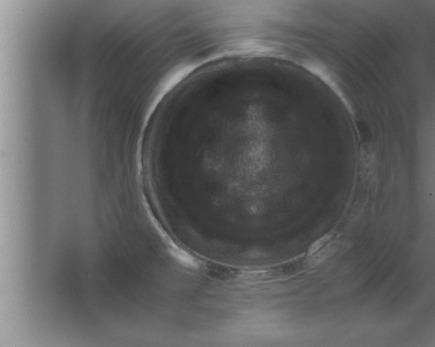 X0000067461477200604281815