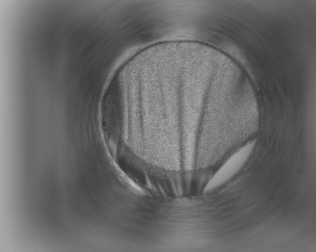 X0000067461480200604281815