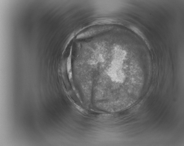 X0000067461481200604281815