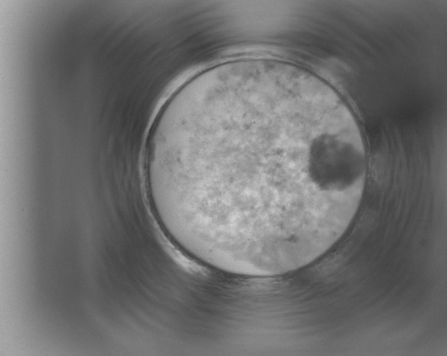 X0000067461482200604281815