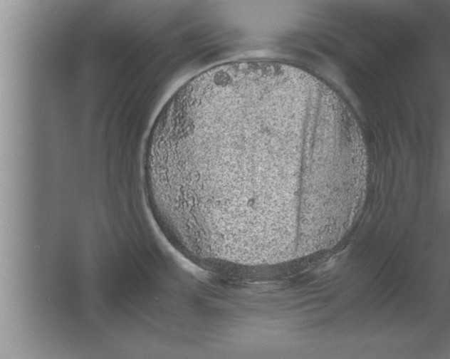 X0000067461483200604281815