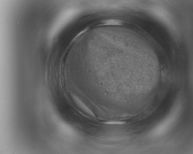 X0000067461487200604281815