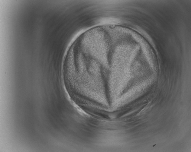 X0000067461488200604281815